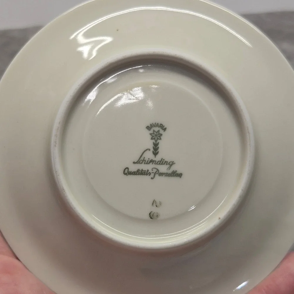 Schirnding Bavaria Porcelain Teacup Saucer Set Green Gold Floral Vintage Germany